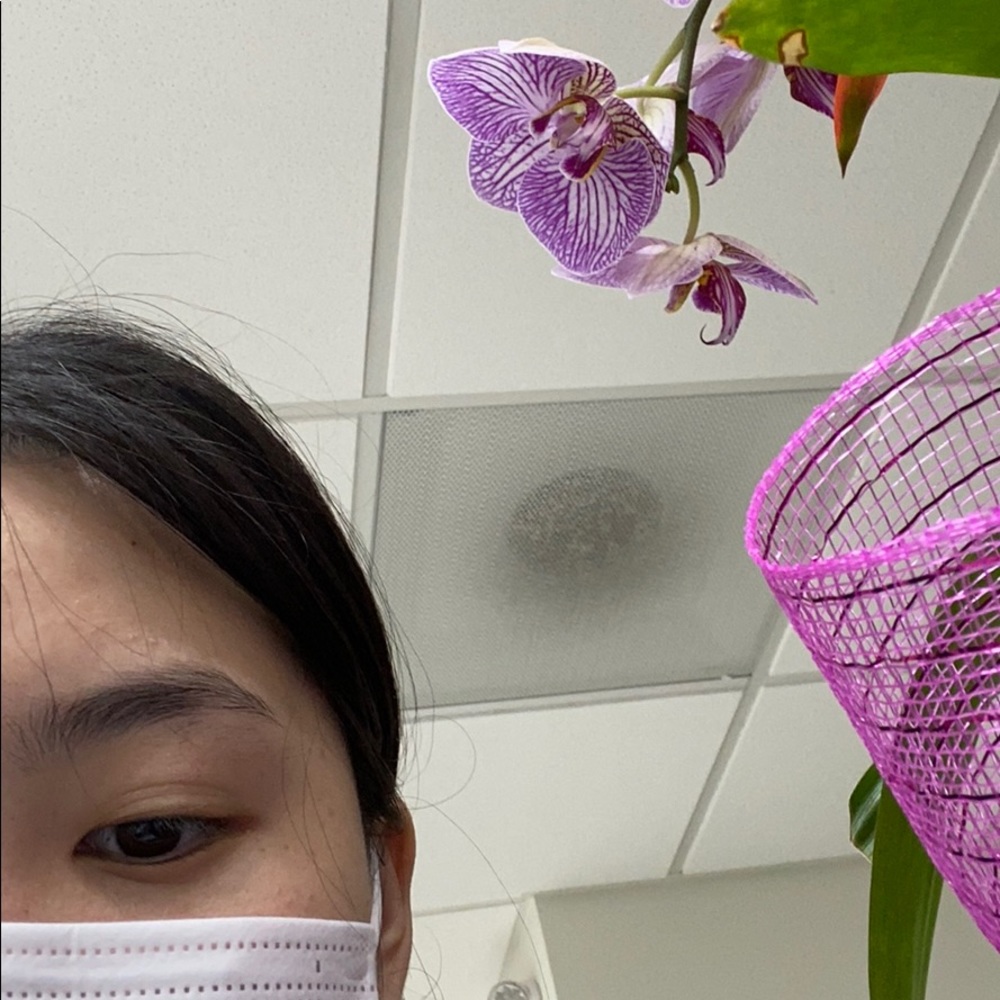 Meet your Posher, Kim